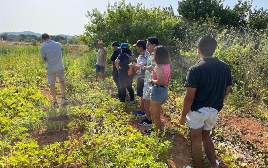 8 estudiantes mexicanos de de gastronomía aprenden sobre los productos de Ibiza